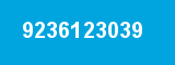 9236123039