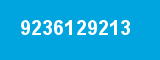 9236129213