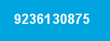 9236130875