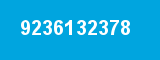 9236132378