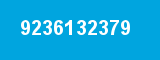 9236132379