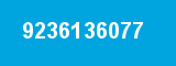 9236136077