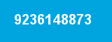 9236148873