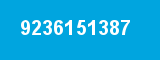 9236151387