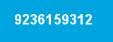 9236159312