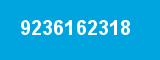 9236162318
