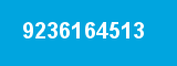 9236164513