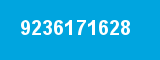 9236171628
