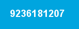 9236181207