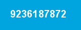 9236187872