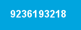 9236193218