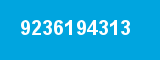 9236194313