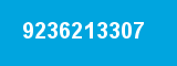 9236213307