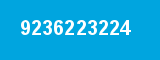 9236223224