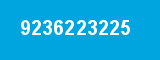 9236223225