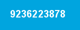 9236223878