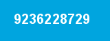 9236228729