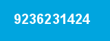 9236231424