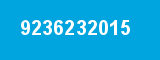 9236232015