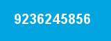 9236245856