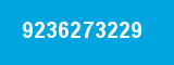 9236273229