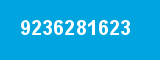 9236281623