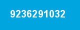 9236291032