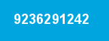 9236291242