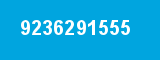 9236291555