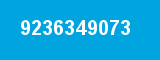 9236349073