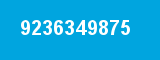 9236349875