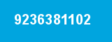 9236381102