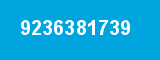 9236381739 9236381739