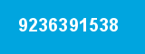 9236391538