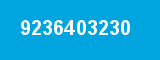 9236403230