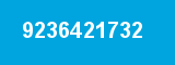 9236421732