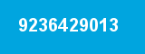 9236429013