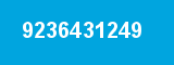 9236431249