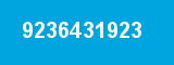 9236431923