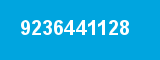 9236441128