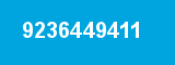 9236449411