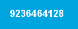 9236464128