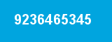 9236465345