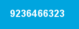 9236466323