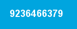 9236466379