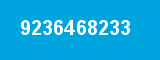 9236468233