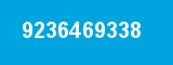 9236469338