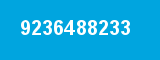 9236488233