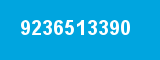 9236513390