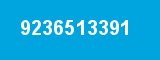 9236513391